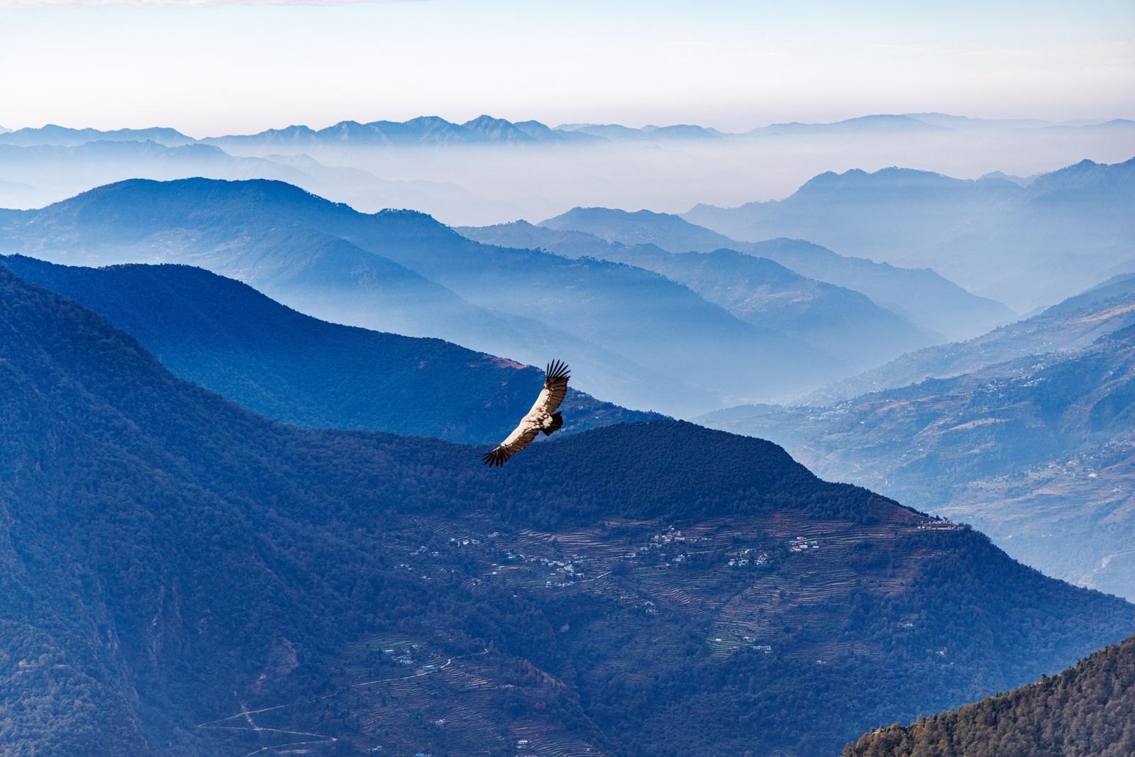 A raptor soaring over snow-capped Himalayan peaks under a broken sky